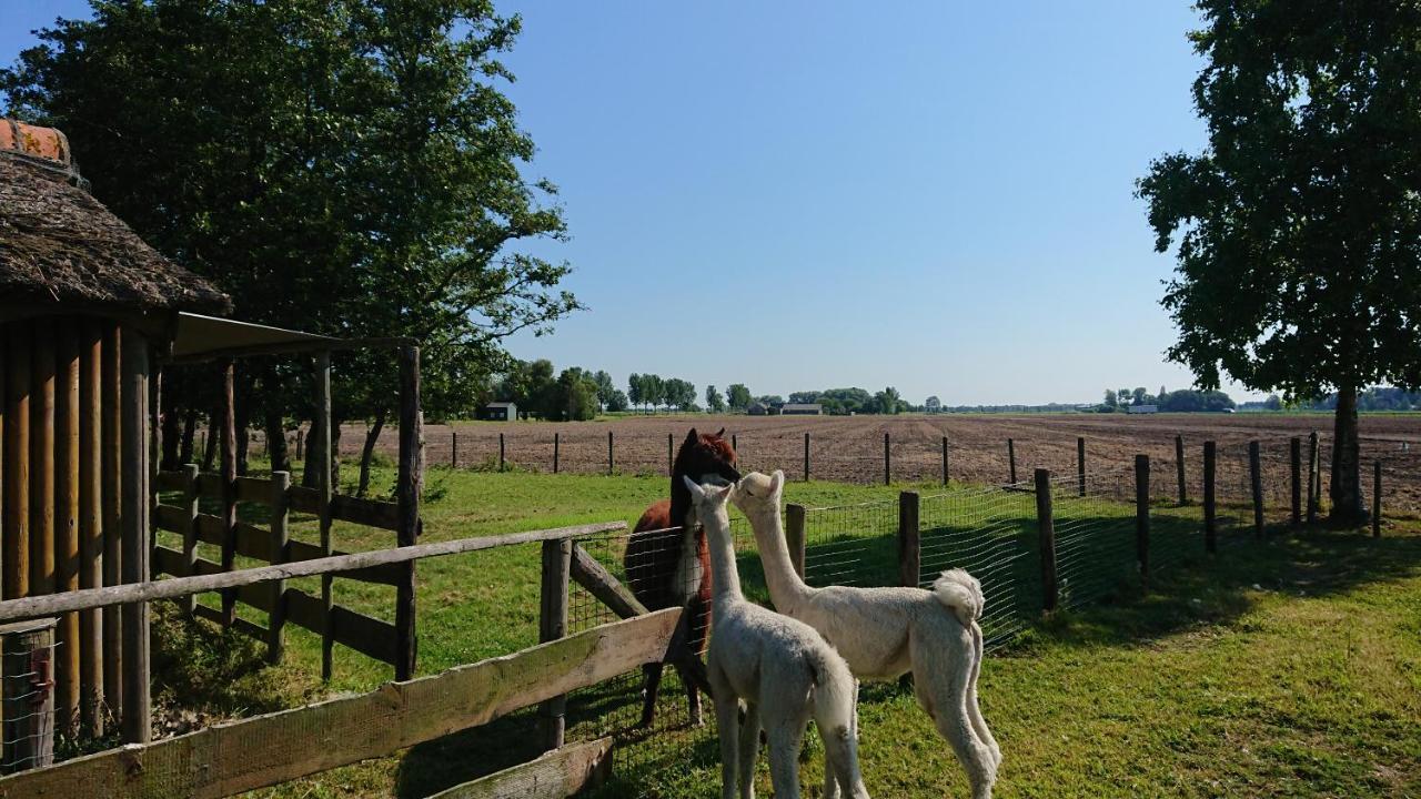 B&B Zusenzomer Oostwoud Exterior foto